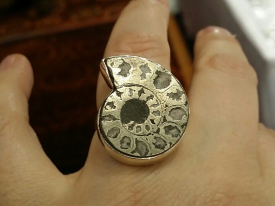 Аммонит в стерлинговом серебре от Starborn Creations (серебро рядом с этим камнем смотрится очень естественно), 64 $