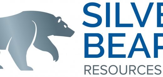 Чистая прибыль Silver Bear составила C$4,8 млн