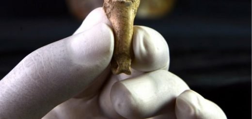 Археологами обнаружено «последнее» украшение неандертальцев