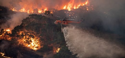 Ювелирная промышленность демонстрирует поддержку жертвам австралийского лесного пожара