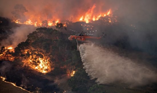Ювелирная промышленность демонстрирует поддержку жертвам австралийского лесного пожара