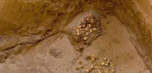Золото сарматских царей, найденное под Астраханью
