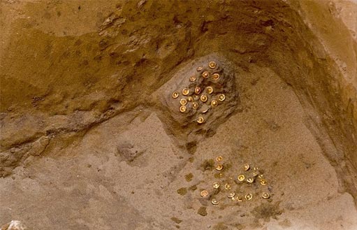 Золото сарматских царей, найденное под Астраханью