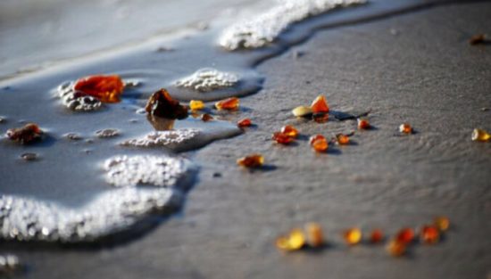 В Лиепае и окрестностях на берегу моря снова найден опасный ложный янтарь