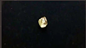 Алмаз весом 10,69 карата найден на руднике в районе индийского города Панна