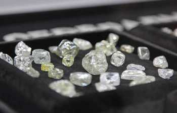 АЛРОСА разрешила клиентам отказаться от покупок алмазов в августе
