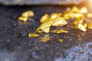ОНФ предлагает запретить добычу золота на Камчатке
