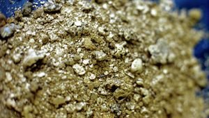 61 кг золота добыли приамурские «Октябрьское» и «Уруша-А»