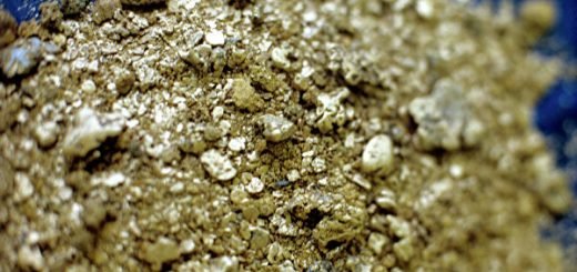 61 кг золота добыли приамурские «Октябрьское» и «Уруша-А»