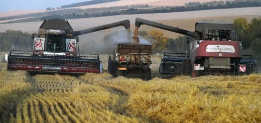 Bloomberg признало господство России на мировом рынке пшеницы