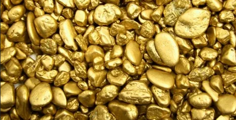 До 500 кг золота прирастит «Зейская тайга» по итогам 2020 года