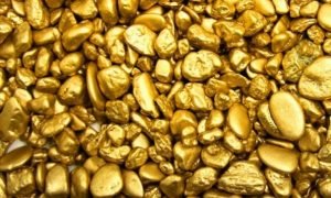10,6 кг драгметалла незаконно получили золотодобытчики Приамурья в 2020 году