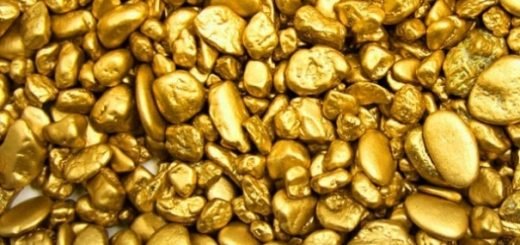 10,6 кг драгметалла незаконно получили золотодобытчики Приамурья в 2020 году