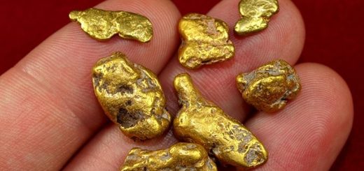 300 граммов золота похитили двое вахтовиков у недропользователя