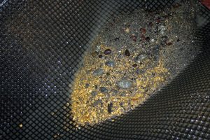 «Рудник Каральвеем» получил 31 кг золота из россыпей