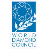 Всемирный алмазный совет запустил бета-версию Системы гарантий для ограниченного числа участников