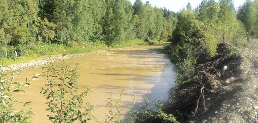 Ущерб в размере 3,4 млн рублей нанес золотодобытчик алтайской реке