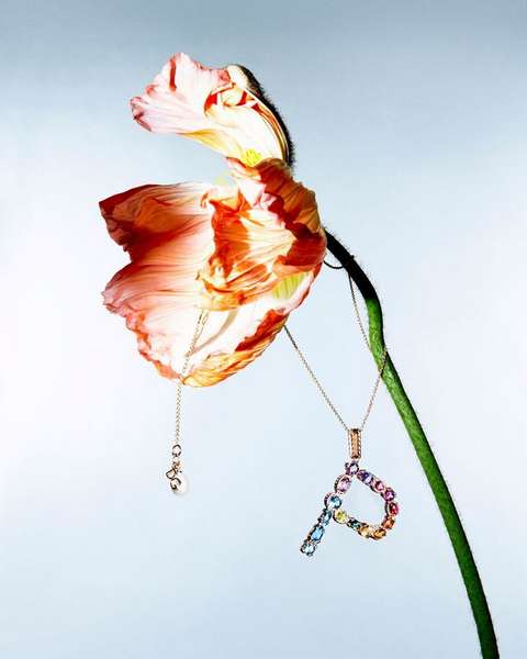 Почему я полностью одержима новой коллекцией ювелирных украшений Dolce & Gabbana