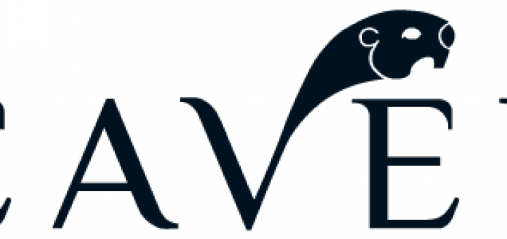 украшения Beavers