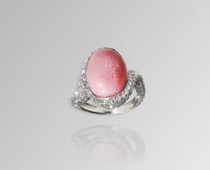 Жемчуг Конк – малоизвестное и очень востребованное чудо природы, которое нельзя вырастить в искусственных условиях DavidMorrisConch1