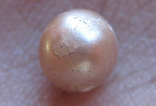 Найдена редкая натуральная жемчужина возрастом 2 тысячи лет